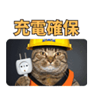 地震で心配防災メッセージ（個別スタンプ：14）