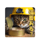 地震で心配防災メッセージ（個別スタンプ：19）