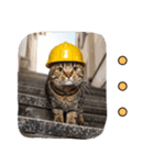 地震で心配防災メッセージ（個別スタンプ：22）