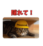 地震で心配防災メッセージ（個別スタンプ：23）