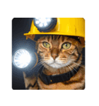 地震で心配防災メッセージ（個別スタンプ：29）