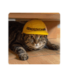 地震で心配防災メッセージ（個別スタンプ：31）