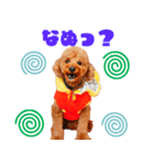 フウタちゃんの可愛いスタンプです！（個別スタンプ：2）