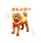 フウタちゃんの可愛いスタンプです！（個別スタンプ：5）