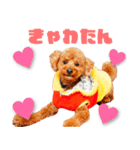 フウタちゃんの可愛いスタンプです！（個別スタンプ：6）