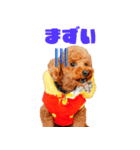 フウタちゃんの可愛いスタンプです！（個別スタンプ：7）