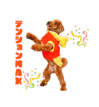 フウタちゃんの可愛いスタンプです！（個別スタンプ：8）