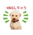 もじゃおちゃんの可愛いスタンプです！（個別スタンプ：4）