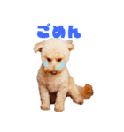 もじゃおちゃんの可愛いスタンプです！（個別スタンプ：5）