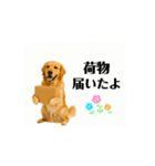 【動く】ゴールデンレトリバー★家族連絡2（個別スタンプ：15）