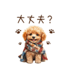 トイプードルのやさしい気づかい冬スタンプ（個別スタンプ：1）