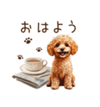 トイプードルのやさしい気づかい冬スタンプ（個別スタンプ：5）