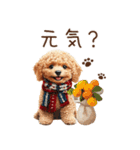 トイプードルのやさしい気づかい冬スタンプ（個別スタンプ：7）