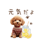 トイプードルのやさしい気づかい冬スタンプ（個別スタンプ：8）