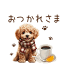 トイプードルのやさしい気づかい冬スタンプ（個別スタンプ：9）