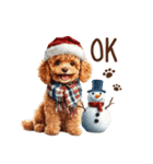 トイプードルのやさしい気づかい冬スタンプ（個別スタンプ：12）