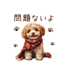 トイプードルのやさしい気づかい冬スタンプ（個別スタンプ：15）