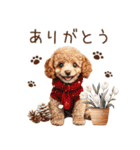 トイプードルのやさしい気づかい冬スタンプ（個別スタンプ：16）