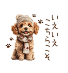 トイプードルのやさしい気づかい冬スタンプ（個別スタンプ：19）