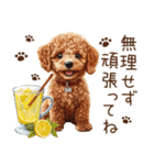 トイプードルのやさしい気づかい冬スタンプ（個別スタンプ：20）