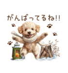 トイプードルのやさしい気づかい冬スタンプ（個別スタンプ：21）