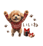 トイプードルのやさしい気づかい冬スタンプ（個別スタンプ：22）