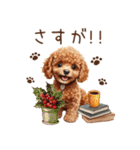 トイプードルのやさしい気づかい冬スタンプ（個別スタンプ：23）