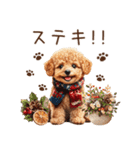 トイプードルのやさしい気づかい冬スタンプ（個別スタンプ：25）