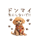 トイプードルのやさしい気づかい冬スタンプ（個別スタンプ：26）