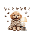 トイプードルのやさしい気づかい冬スタンプ（個別スタンプ：27）