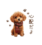 トイプードルのやさしい気づかい冬スタンプ（個別スタンプ：28）