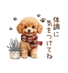 トイプードルのやさしい気づかい冬スタンプ（個別スタンプ：29）