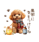 トイプードルのやさしい気づかい冬スタンプ（個別スタンプ：30）