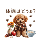 トイプードルのやさしい気づかい冬スタンプ（個別スタンプ：31）