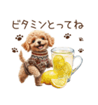 トイプードルのやさしい気づかい冬スタンプ（個別スタンプ：33）