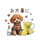 トイプードルのやさしい気づかい冬スタンプ（個別スタンプ：34）