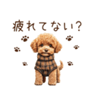 トイプードルのやさしい気づかい冬スタンプ（個別スタンプ：35）