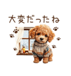 トイプードルのやさしい気づかい冬スタンプ（個別スタンプ：36）