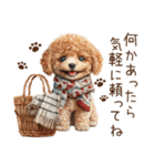 トイプードルのやさしい気づかい冬スタンプ（個別スタンプ：37）