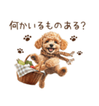 トイプードルのやさしい気づかい冬スタンプ（個別スタンプ：38）