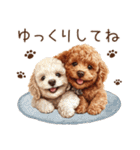 トイプードルのやさしい気づかい冬スタンプ（個別スタンプ：39）