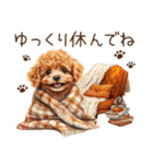 トイプードルのやさしい気づかい冬スタンプ（個別スタンプ：40）