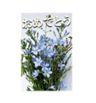 大きめ表示♥お誕生日のお祝いブーケ（個別スタンプ：14）