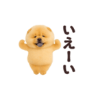 踊る！チャウチャウ（個別スタンプ：6）