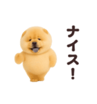 踊る！チャウチャウ（個別スタンプ：7）