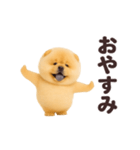 踊る！チャウチャウ（個別スタンプ：10）