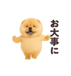 踊る！チャウチャウ（個別スタンプ：16）