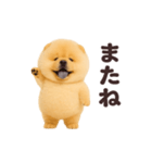 踊る！チャウチャウ（個別スタンプ：24）