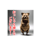 激しく動く！うざいクアッカワラビー！（個別スタンプ：9）