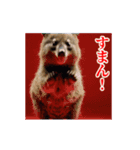 激しく動く！うざいクアッカワラビー！（個別スタンプ：14）